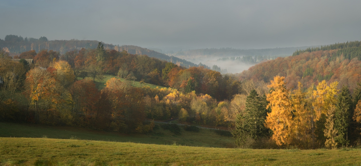 Eifel